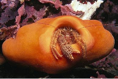 任天堂发言人确认第一方实体Switch2游戏不使用keycard