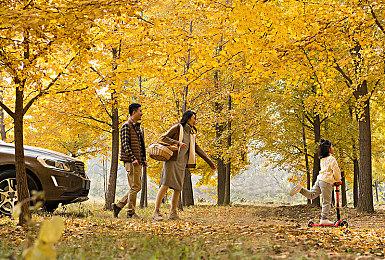 300万奖池已就位 轻游梦工坊邀你零代码搭爆款